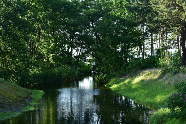 Explorez les bienfaits du lait de coco pour votre santé digestive et nos conseils pratiques pour l"intégrer facilement à votre alimentation !